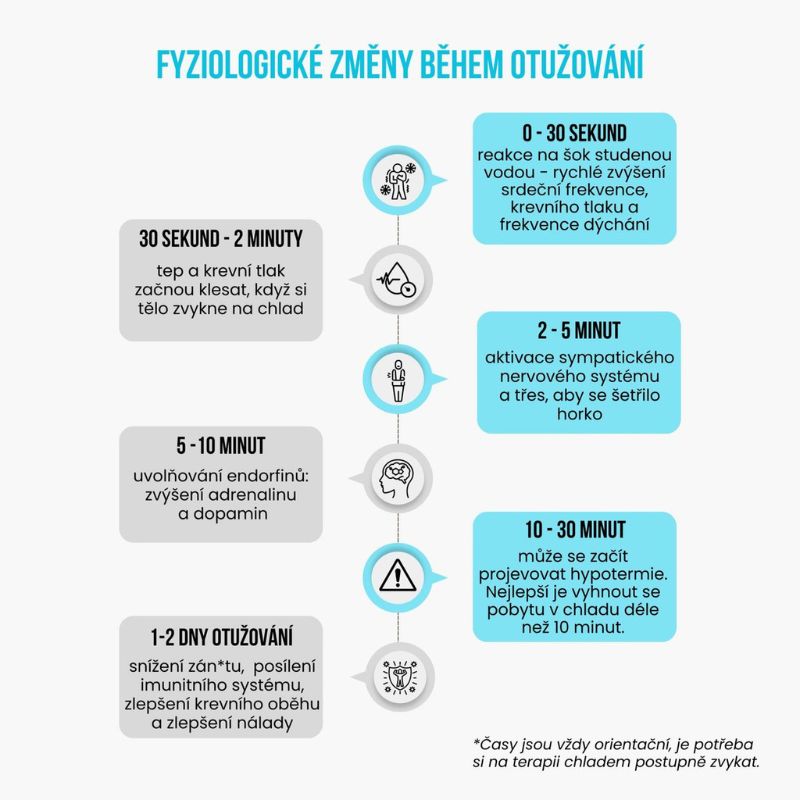Návrh bez názvu (39)